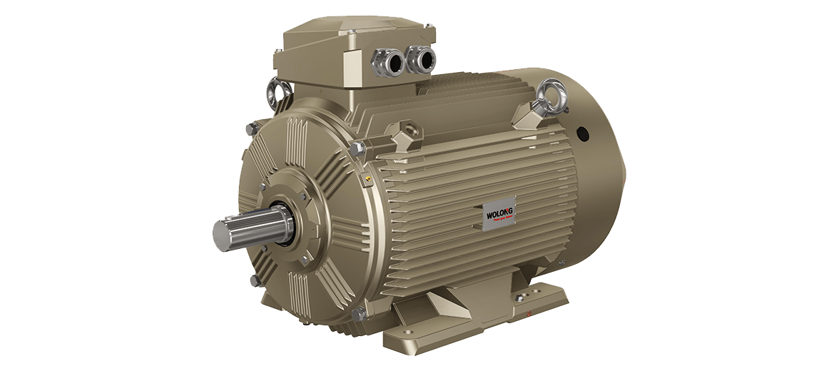 motor-wolong Motores AC Wolong IE3 - Imagen 1