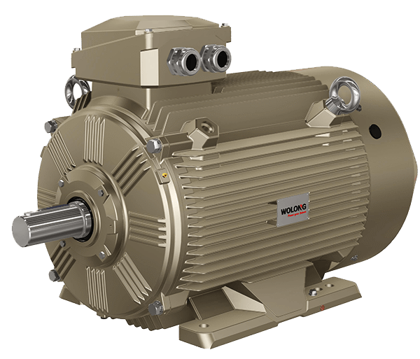 Motores AC Wolong IE3